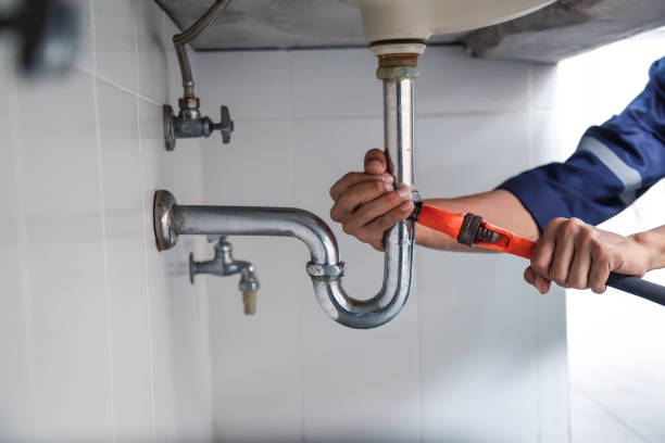 Best Plumbing Inspection Services  in Panaca, NV