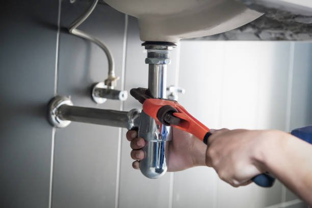 Best Plumbing Services Near Me  in Panaca, NV